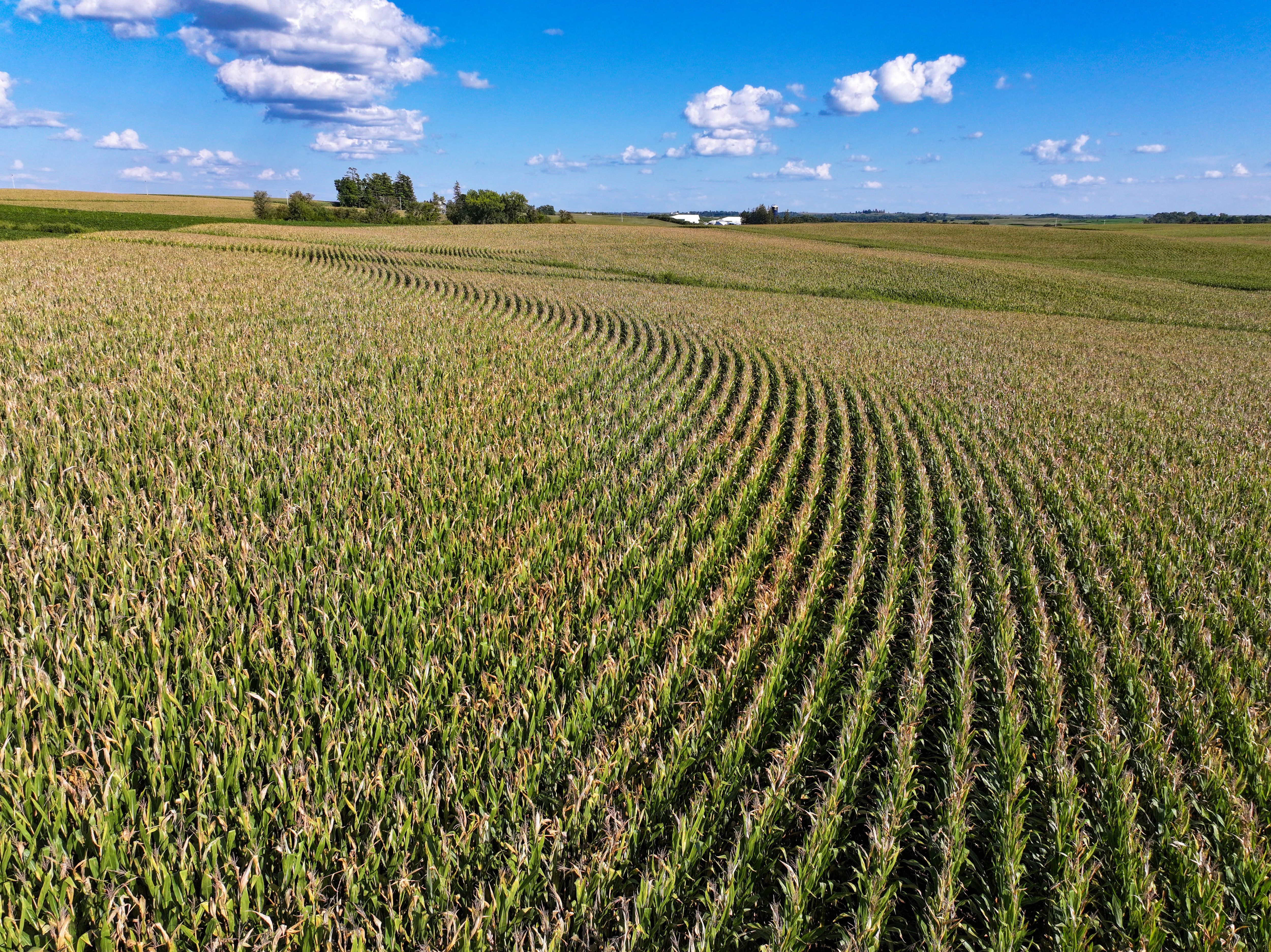 Listing Photo: 29-Postville Land Auction